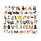 MR-101020238241-dog-png-bundle-dogs-clipart-dogs-silhouette-dogs-designs-image-1.jpg