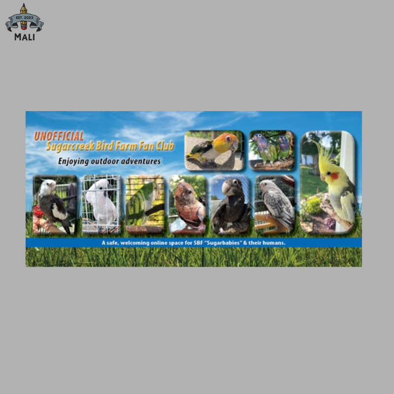 ML0908957-summer birds Sublimation PNG Download.jpg