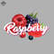 ML0908813-Raspberry Sublimation PNG Download.jpg
