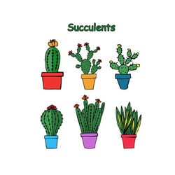 succulents bundle svg, flower svg, succulents svg, funny garden svg, flower succulents svg, birthday gift svg, gift for