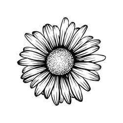 drawing sunflower svg, flower svg, sunflower svg, birthday gift svg, gift for girl svg, flower lovers svg, flower lovers