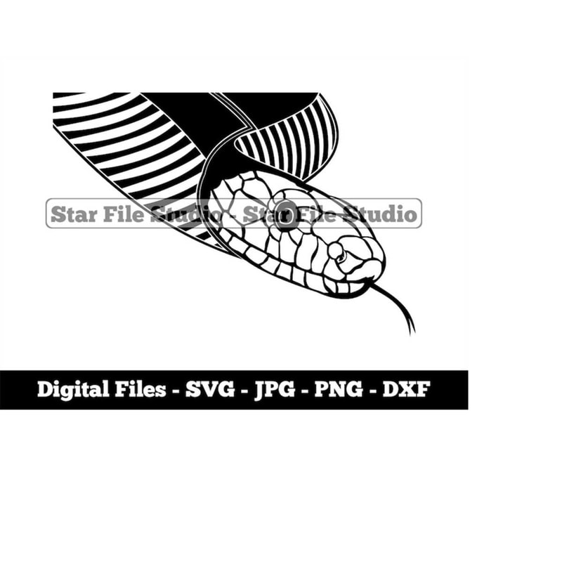 MR-1010202310527-snake-svg-reptile-svg-poison-svg-snake-png-snake-jpg-image-1.jpg