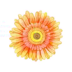 watercolor gerbera svg, flower svg, gerbera svg, gerbera flower svg, birthday gift svg, gift for girl svg, flower lovers