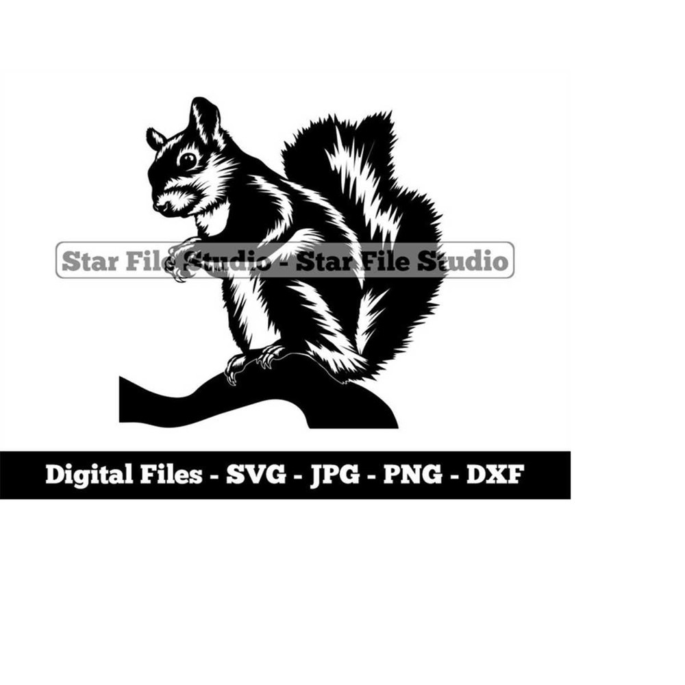 MR-10102023104819-squirrel-7-svg-squirrel-svg-forest-animals-svg-squirrel-image-1.jpg