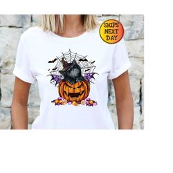 Halloween Black Cat Pumpkin Shirt, Baby Cat With Pumpkin Halloween Shirt, Pumpkin Spooky Season Shirt, Halloween Gift, H