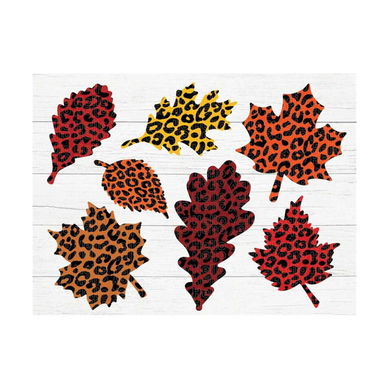 MR-101020231175-fall-leaves-svg-fall-svg-fall-leaf-svg-bundle-fall-png-image-1.jpg