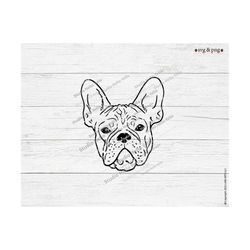 french bulldog svg, french bulldog, dog svg, dog mom svg, dog dad,dog lover,dog mom,gift,dog,dogs,frenchie,sublimation,s