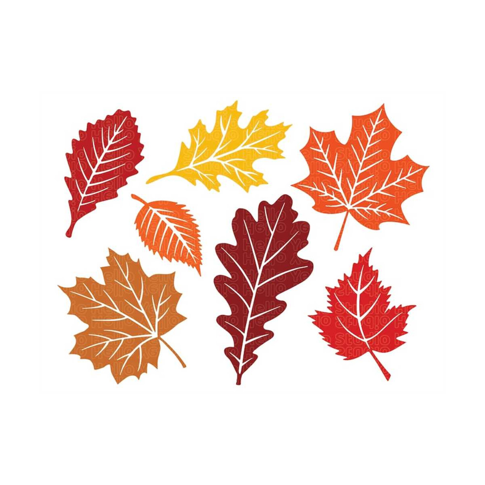 MR-1010202312955-fall-leaves-svg-fall-svg-fall-leaf-svg-bundle-fall-png-image-1.jpg