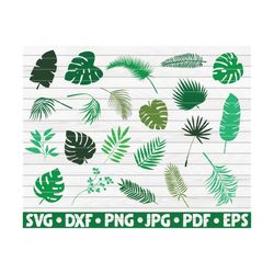 21 tropical leaves silhouettes / cut file / cliparts / printable / vectors / commercial use instant download