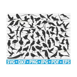 67 birds silhouettes / cut file / cliparts / printable / vectors / commercial use instant download