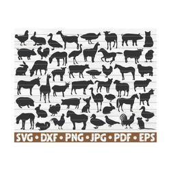 50 farm animals silhouettes / cut file / cliparts / printable / vectors / free commercial use / instant download