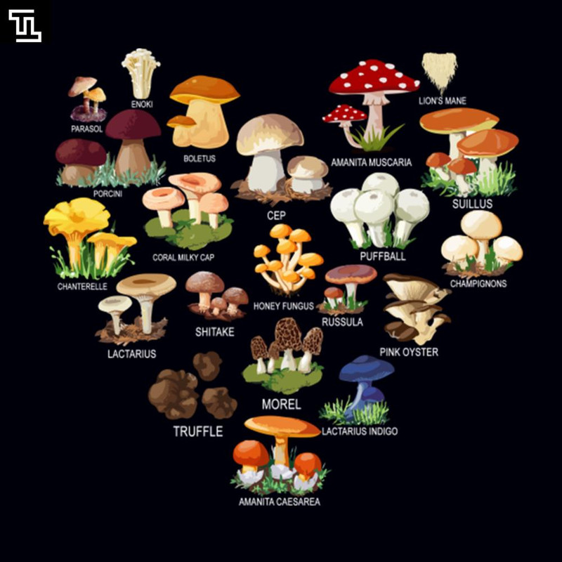 TT1074-Mushroom Shirt Mushroom Mycology Fungi Foraging Mushrooms Whisperer, Christmas PNG Download.jpg
