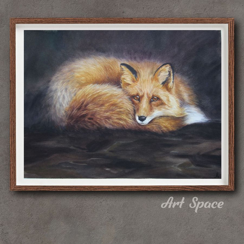 fox  night  dark picture  animal  nature  brown picture  wild animal  forest animal  picture