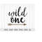 MR-1110202392146-wild-one-svg-wild-one-birthday-svg-first-birthday-svg-baby-image-1.jpg