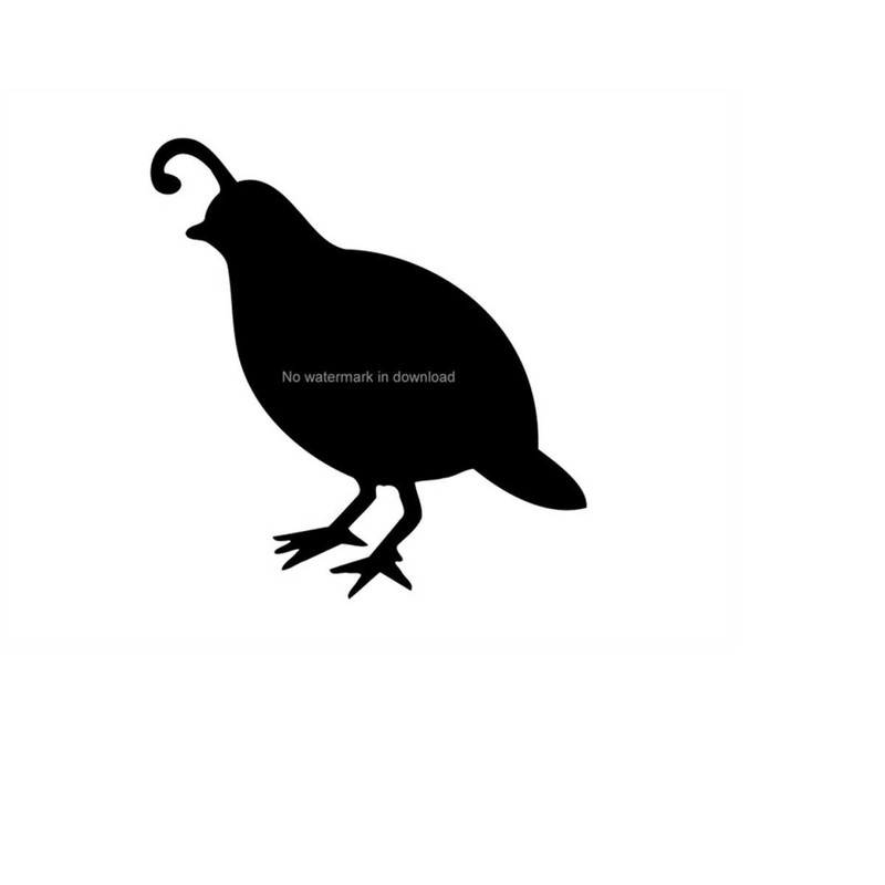 MR-1110202394135-quail-laser-svg-quail-printable-images-quail-image-quail-image-1.jpg