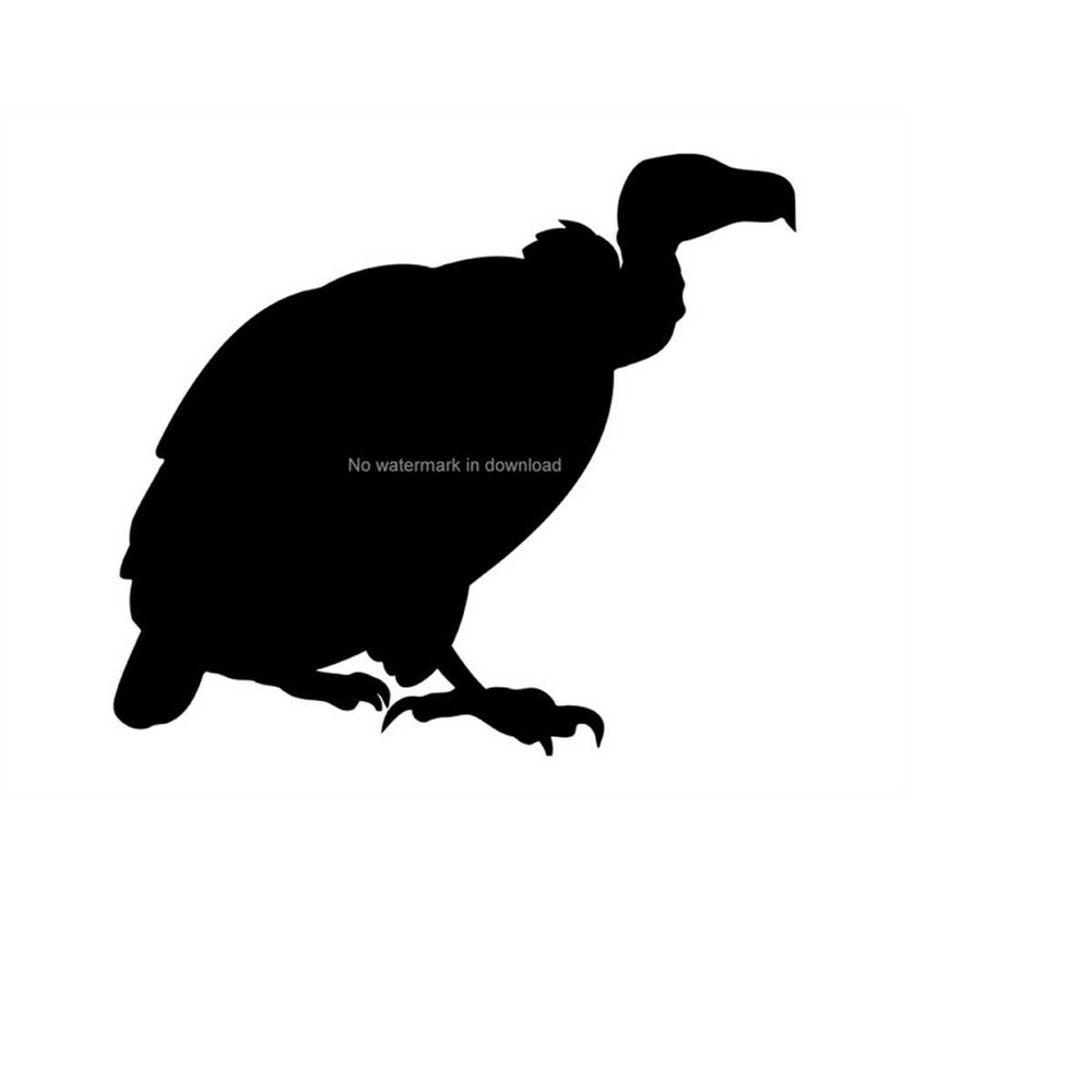MR-1110202310054-vulture-vector-image-vulture-vinyl-cut-file-vulture-vinyl-image-1.jpg