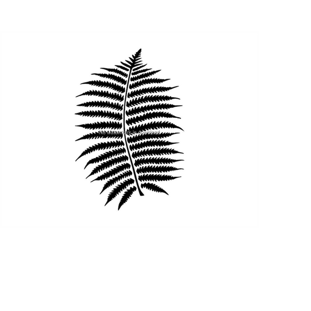 MR-1110202310310-fern-leaf-silhouette-svg-fern-leaf-svg-cutting-file-fern-image-1.jpg