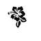 MR-11102023131114-hibiscus-flower-svg-hibiscus-flower-clipart-hibiscus-digital-image-1.jpg