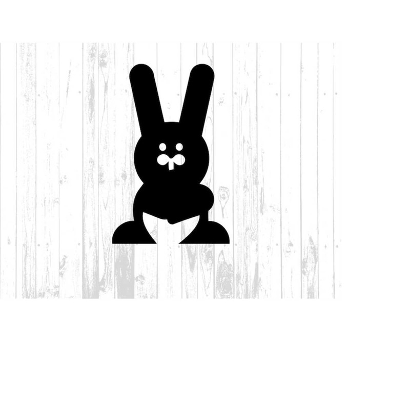MR-11102023135156-bunny-rabbit-clipart-image-digital-rabbit-clip-art-easter-image-1.jpg
