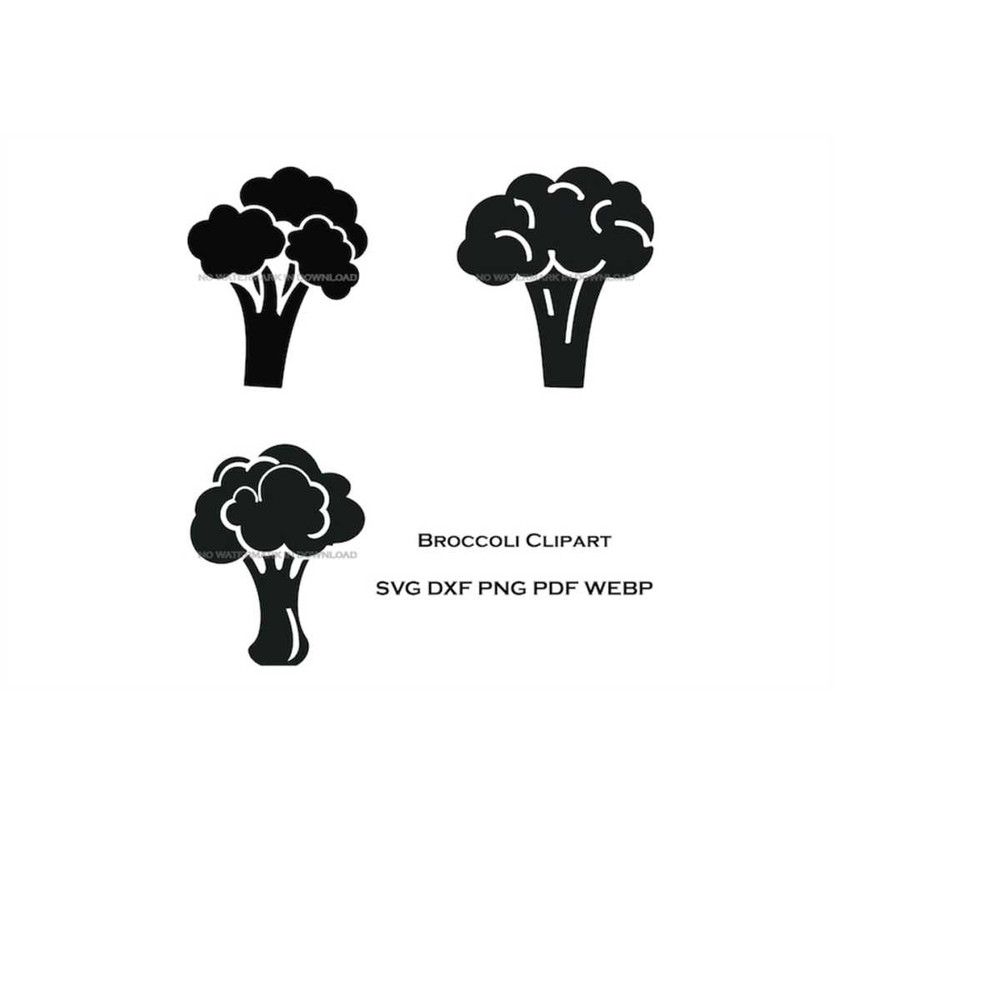 MR-11102023143950-broccoli-vector-clipart-fresh-vegetable-cooking-clipart-image-1.jpg