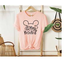 disney bound shirt, disneyland shirts, disney matching, disney shirt, disney tee, disney birthday, disney vacation