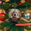 Dog's First Christmas Photo Ornament, Personalized Dog Christmas Photo Ornament, Dog Christmas Ornament 2023, Pet Memorial Ornament Gift - 6.jpg
