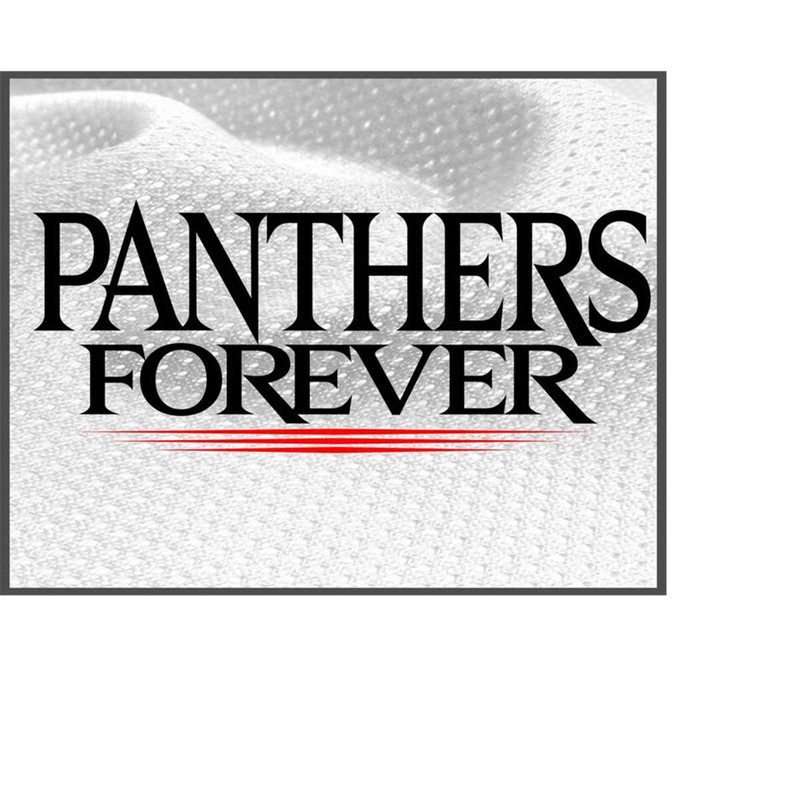 MR-11102023174959-panthers-forever-panthers-svg-sports-team-team-spirit-image-1.jpg