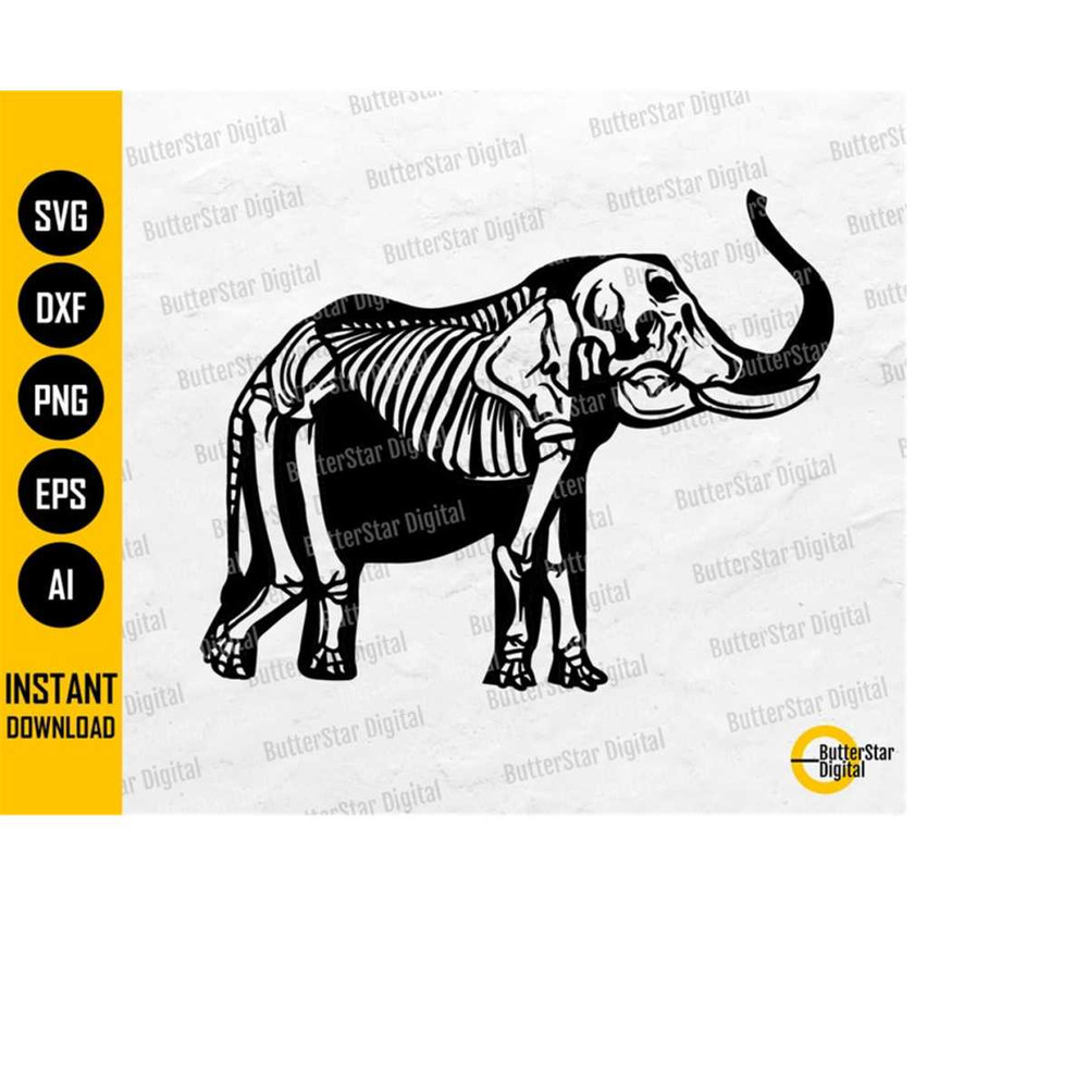 MR-11102023183747-elephant-skeleton-svg-animal-bones-svg-wildlife-vinyl-image-1.jpg