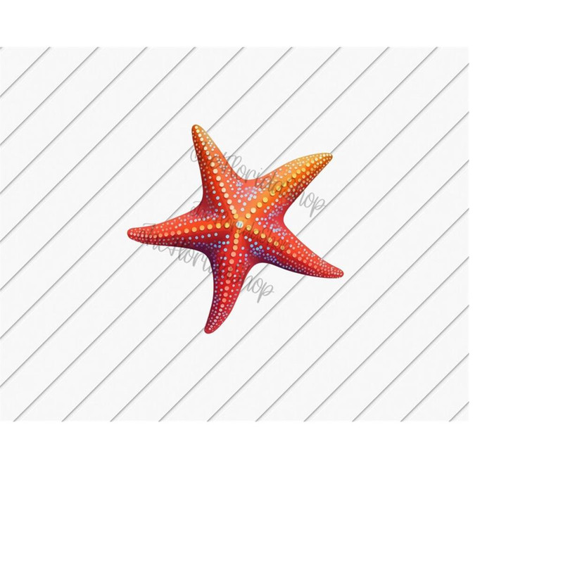MR-11102023215059-starfish-png-clip-art-png-ocean-lover-summer-png-image-1.jpg