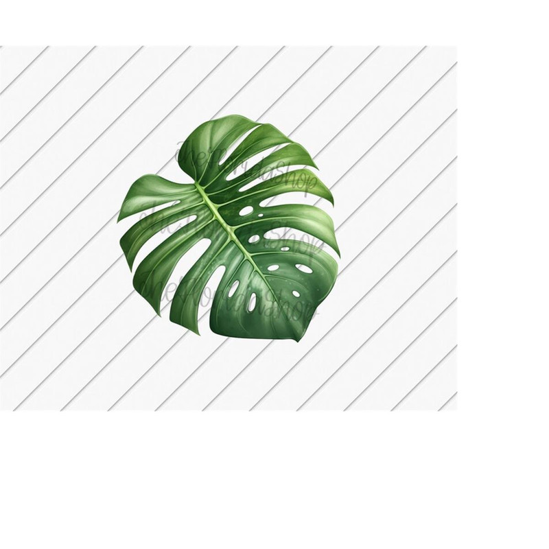 MR-11102023215814-monstera-leaf-png-tropical-leaves-summer-png-tropical-png-image-1.jpg