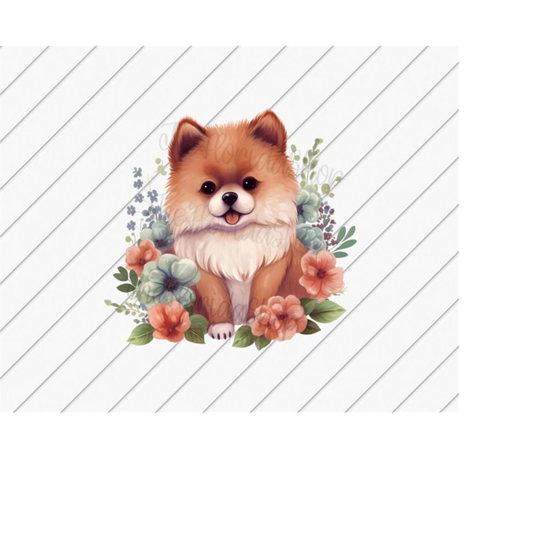 MR-1110202322145-pomeranian-png-pom-mom-dog-png-dog-mom-shirt-sublimation-image-1.jpg