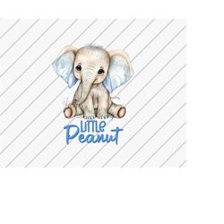 little peanut png, baby elephant, cute baby clothes png, baby boy png, sublimation design, animal png, files for coffee