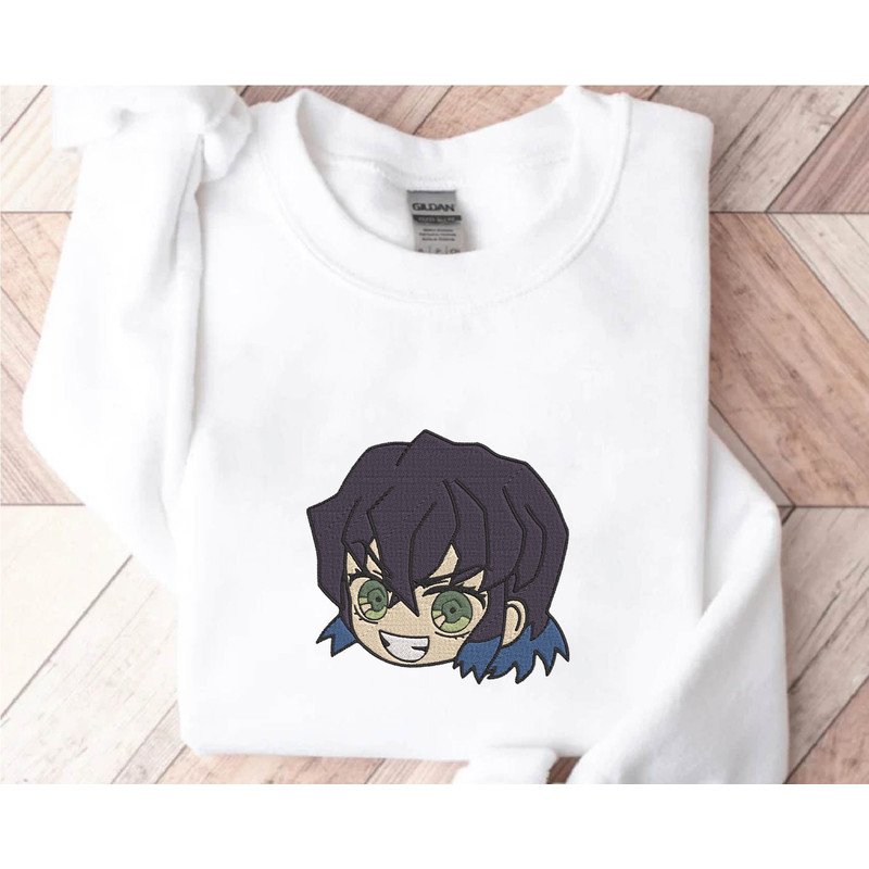 EDS_ANIME_DS77_img2.png