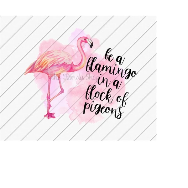 MR-121020230112-sublimation-designs-downloads-flamingo-in-a-flock-of-pigeons-image-1.jpg