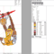 EDS_SP_NK_NBA02_EDS_SP_NK_NBA02-TS.png