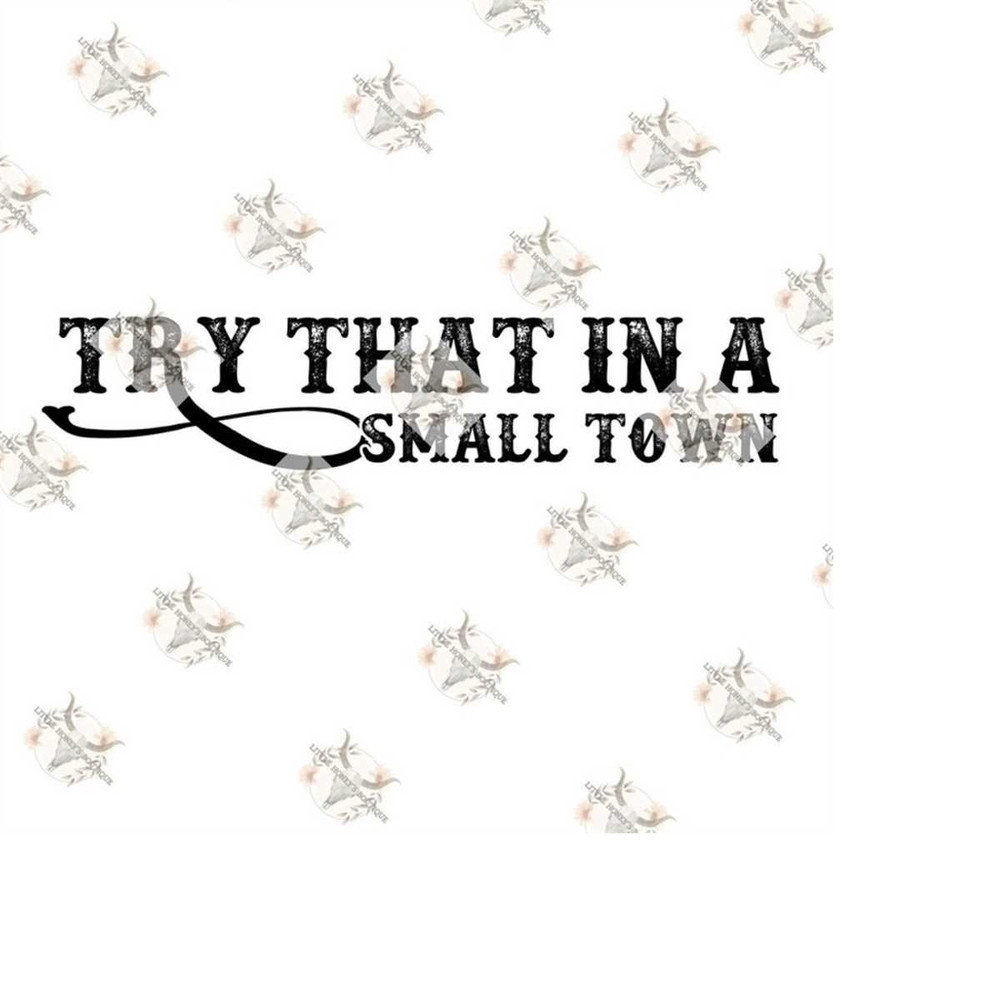 MR-12102023102155-try-that-in-a-small-town-png-jason-aldean-png-small-town-image-1.jpg