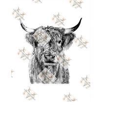 highland cow png western