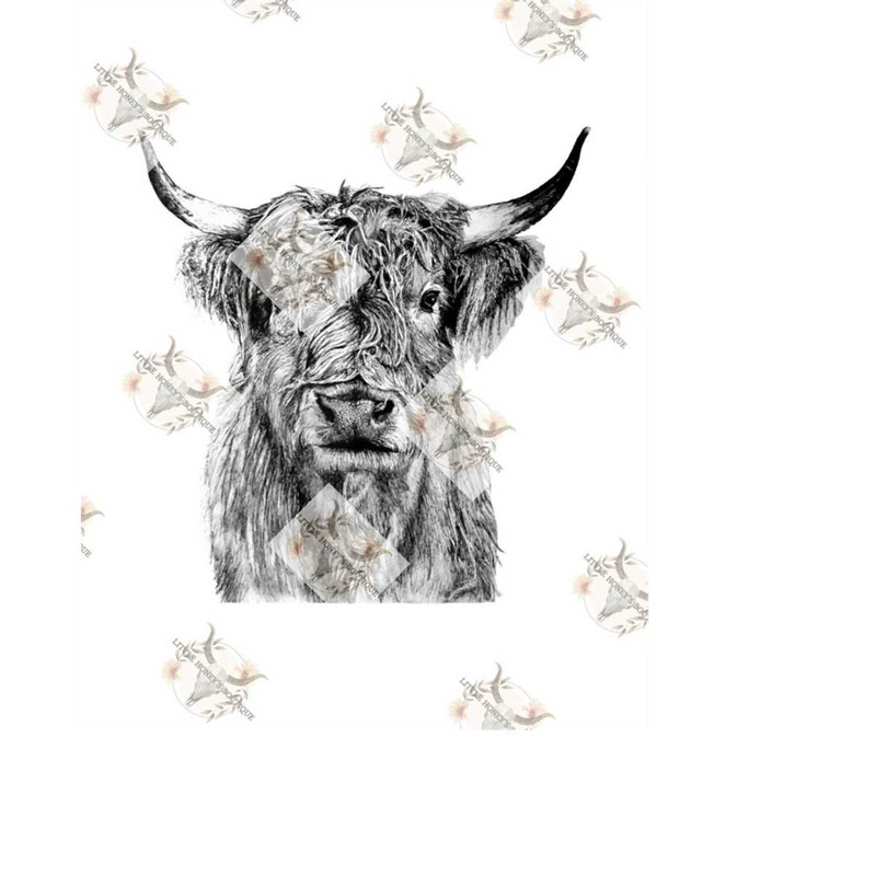 MR-12102023104248-highland-cow-png-western-image-1.jpg