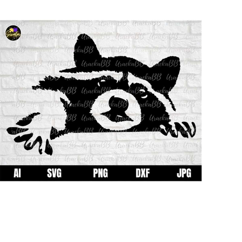 MR-12102023113217-peeking-raccoon-svg-raccoon-head-svg-raccoon-svg-racoon-image-1.jpg