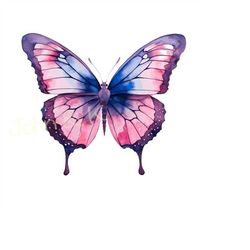 butterfly svg, butterfly watercolor art, pretty bug art, butterfly clipart, butterfly svg for tattoo, shirt, mug, cutfil