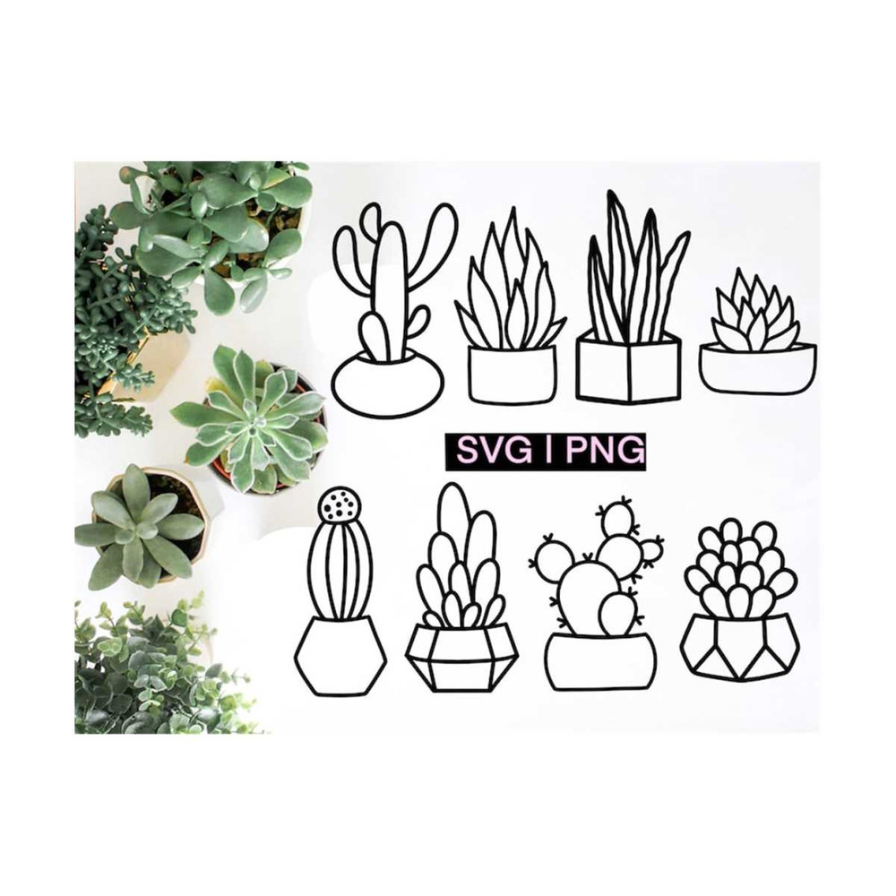 MR-12102023145232-succulent-svg-bundle-succulent-clipart-cactus-svg-plant-image-1.jpg