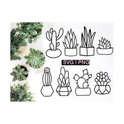 succulent svg bundle, succulent clipart, cactus svg, plant svg, cacti svg, svg files for cricut, cactus clipart, svg bun