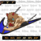 EDS_BR_ANIME47_thumb_web.png
