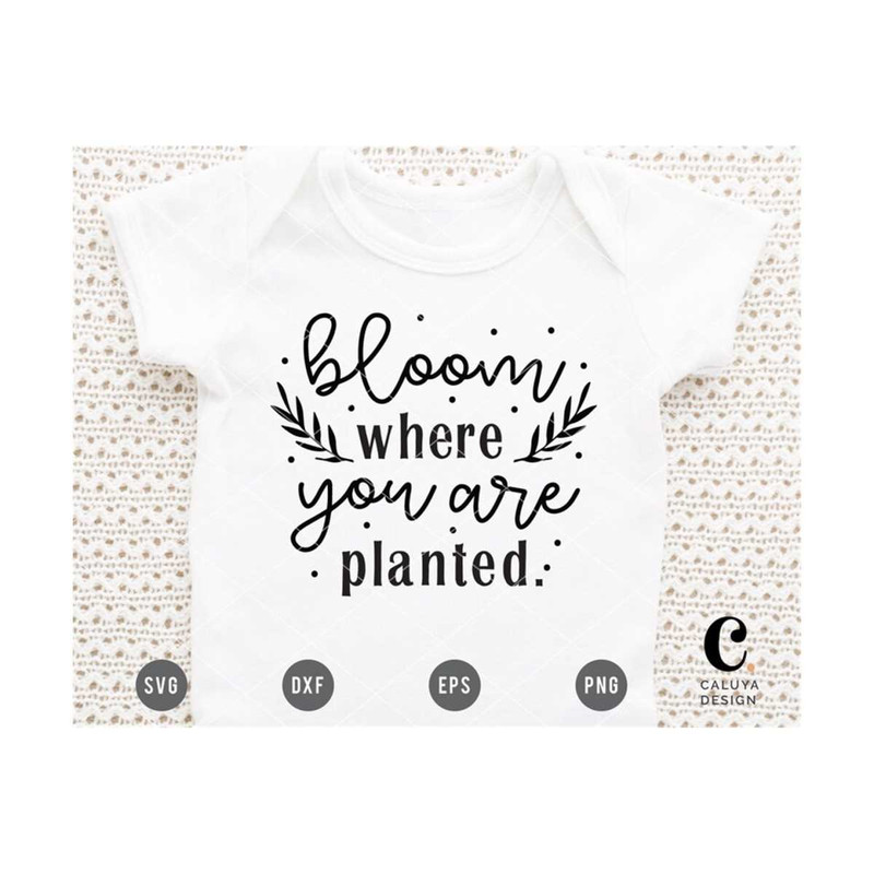 MR-1210202315916-baby-quote-for-onesie-svg-cutting-file-for-cricut-cameo-image-1.jpg