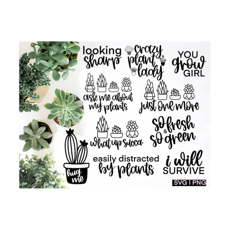 MR-1210202315193-succulent-svg-bundle-cactus-svg-plant-svg-plant-lover-svg-image-1.jpg