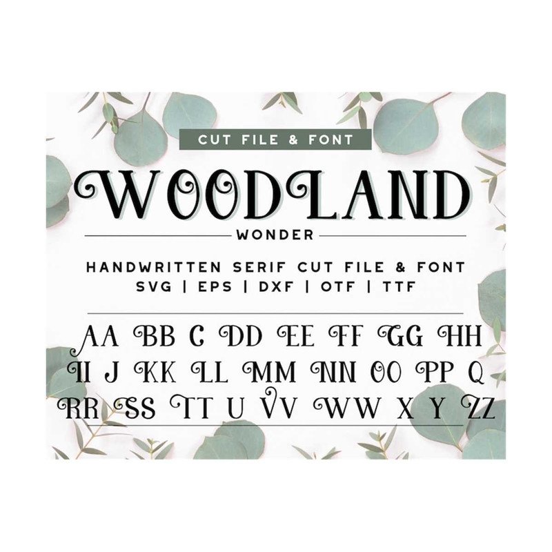 MR-12102023154416-handwritten-decorative-serif-font-cricut-font-alphabet-cut-image-1.jpg