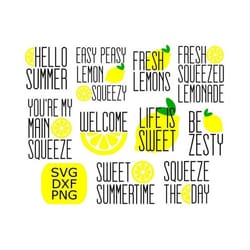 lemon svg bundle, hello summer svg, lemon sign svg, digital download, cut files, sublimation, clip art (includes 10 svg/