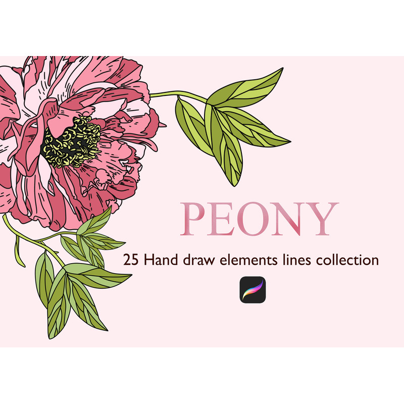 01_Cover_01 copy.jpg