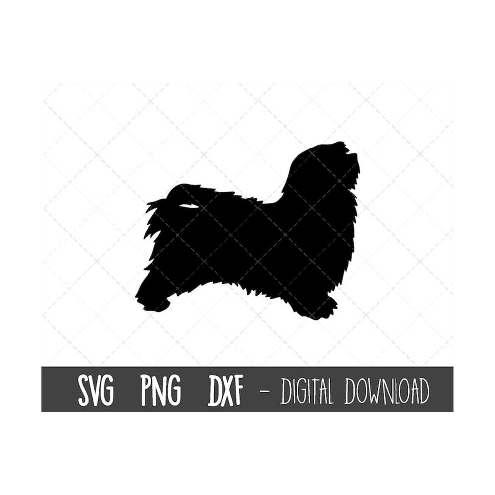 MR-12102023173952-havanese-svg-dog-svg-havanese-silhouette-havanese-outline-image-1.jpg