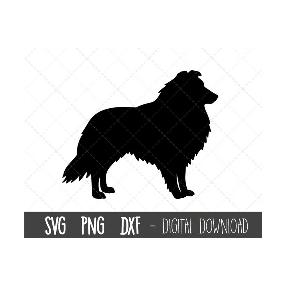 MR-12102023174740-shetland-sheepdog-svg-dog-svg-shetland-sheepdog-silhouette-image-1.jpg